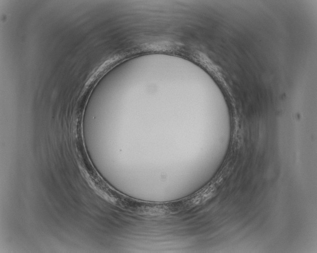 X0000081580106200702051249