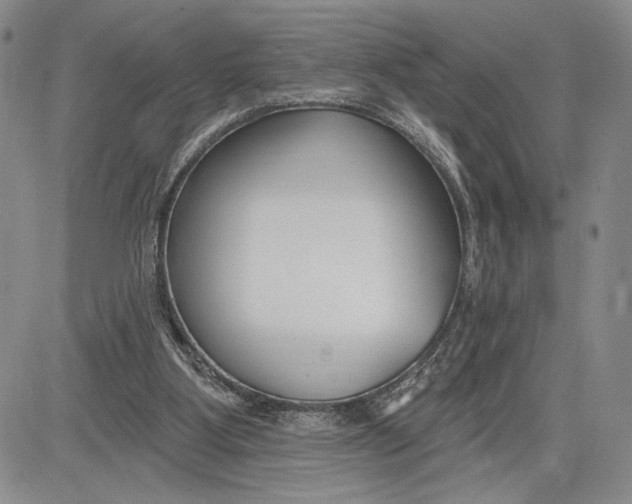 X0000081580107200702051249