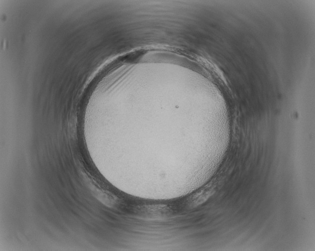 X0000081580108200702051249