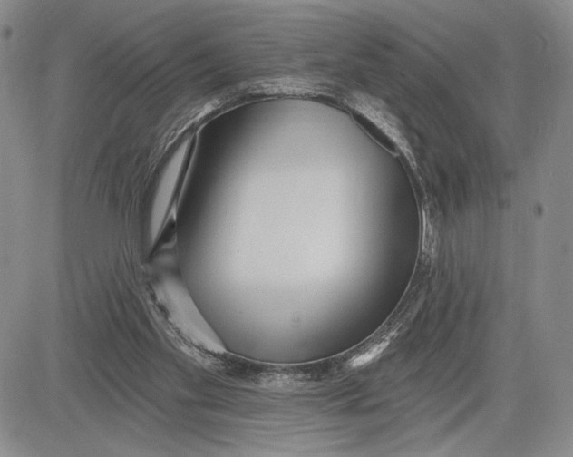 X0000081580109200702051249