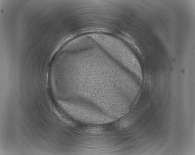 X0000081580110200702051249