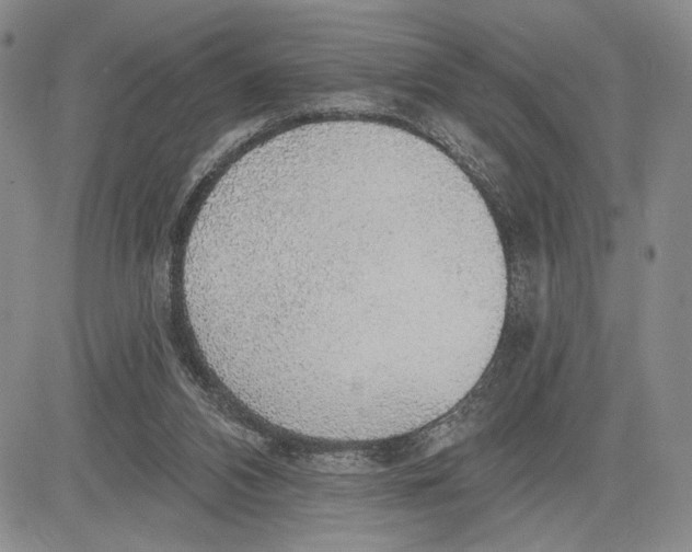 X0000081580112200702051249