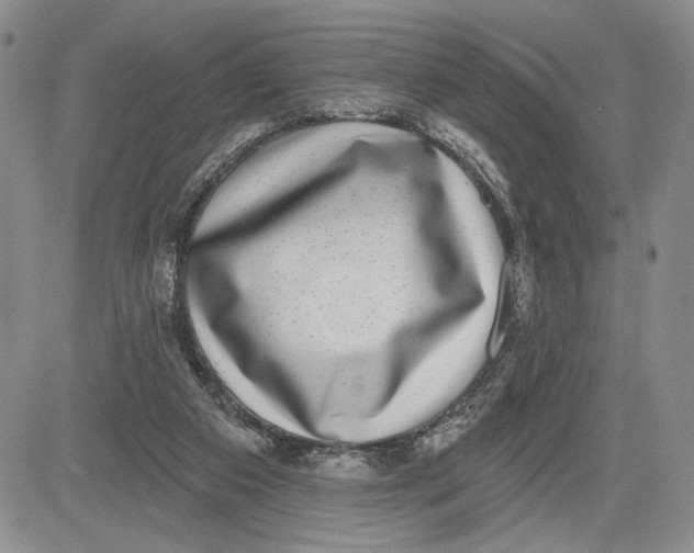 X0000081580113200702051249