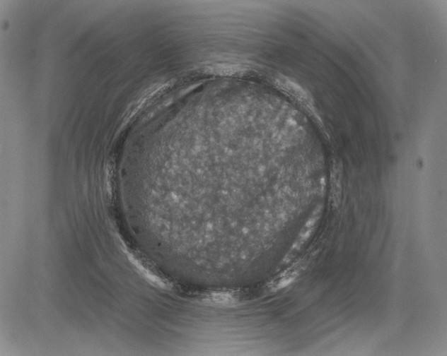 X0000081580114200702051249