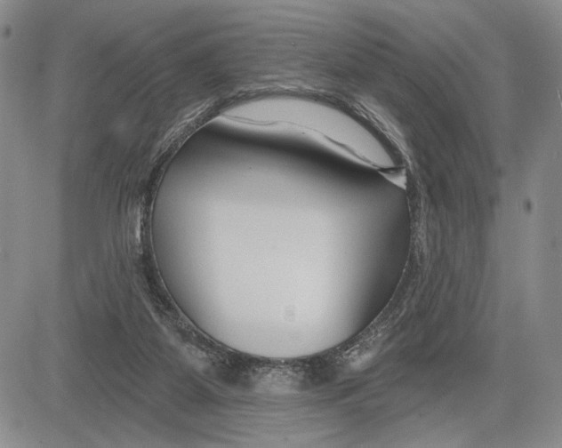 X0000081580115200702051249