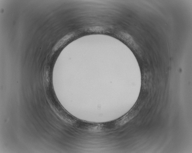 X0000081580116200702051249