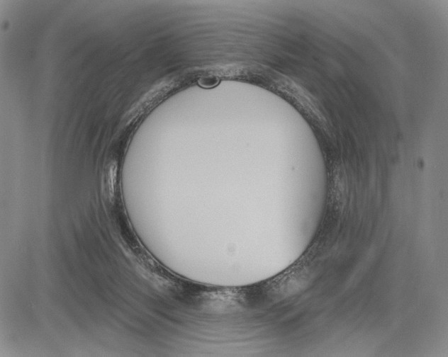 X0000081580118200702051249