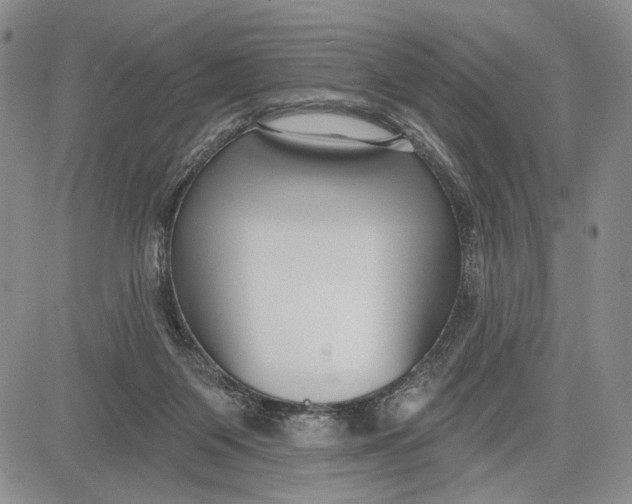 X0000081580119200702051249