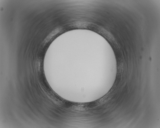 X0000081580120200702051249