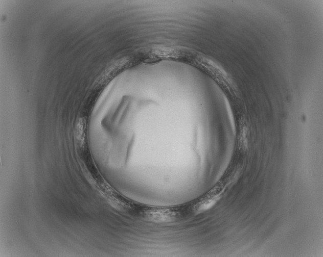 X0000081580121200702051249