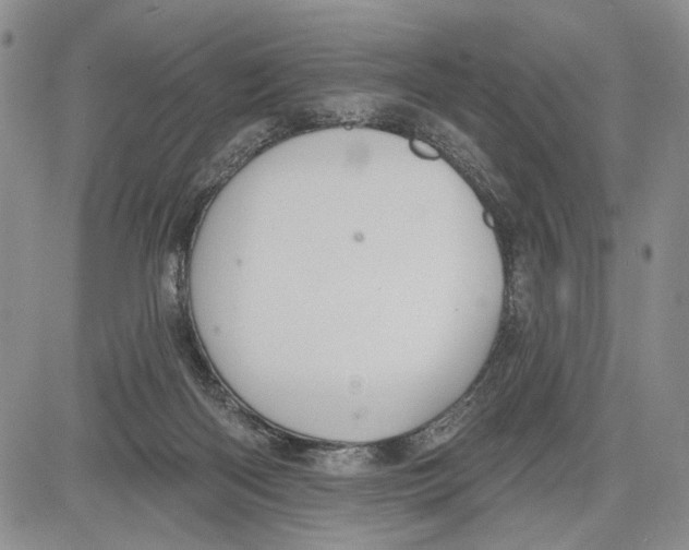 X0000081580122200702051249