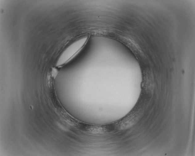 X0000081580123200702051249