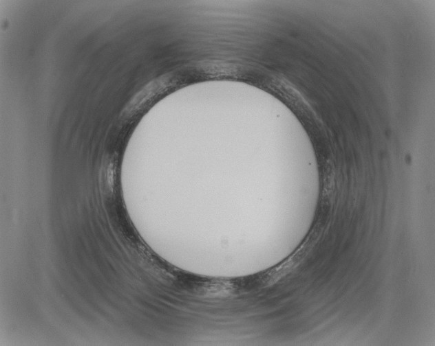 X0000081580124200702051249