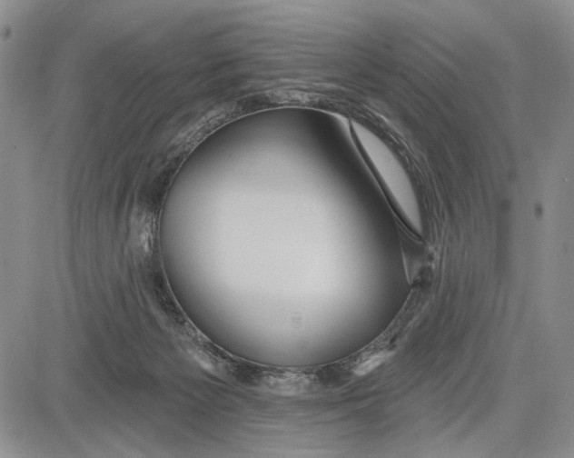 X0000081580125200702051249