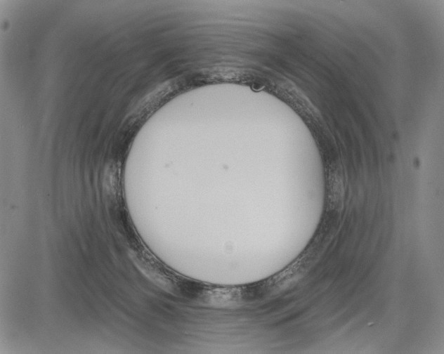 X0000081580126200702051249