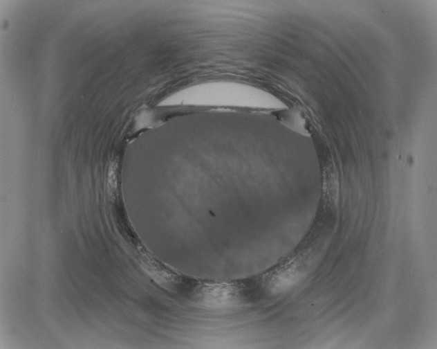 X0000081580127200702051249