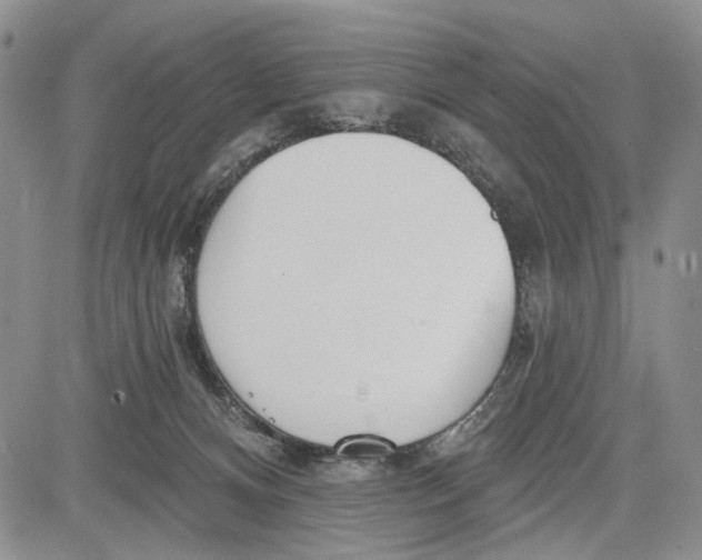 X0000081580128200702051249