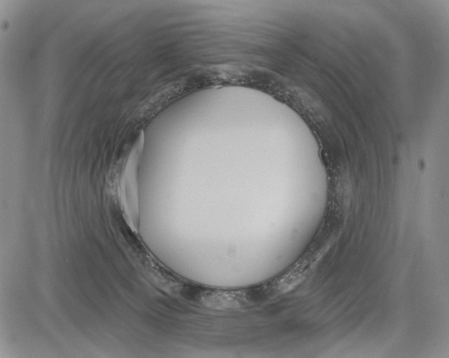 X0000081580129200702051249