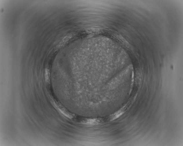 X0000081580130200702051249