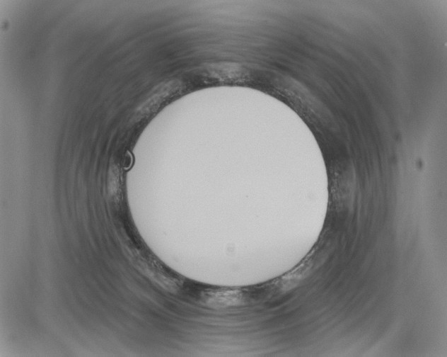 X0000081580132200702051249