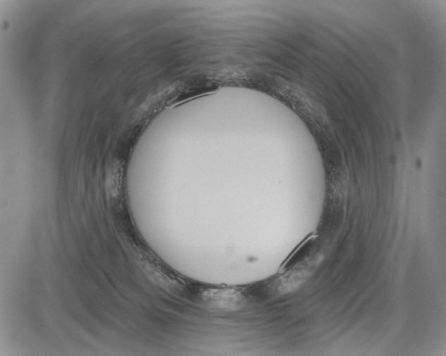 X0000081580133200702051248