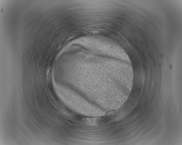 X0000081580134200702051248