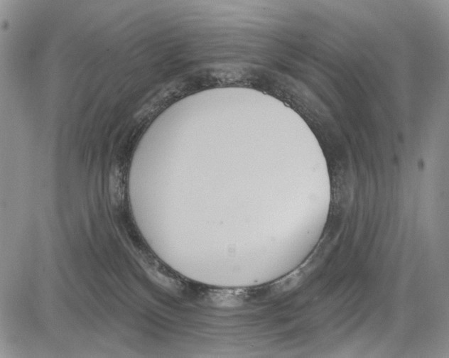 X0000081580136200702051248