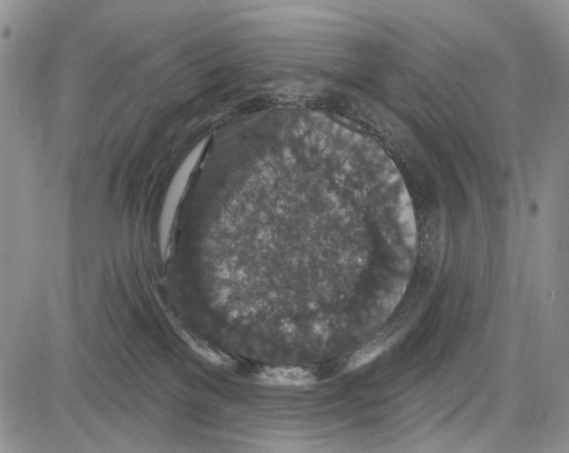 X0000081580137200702051248