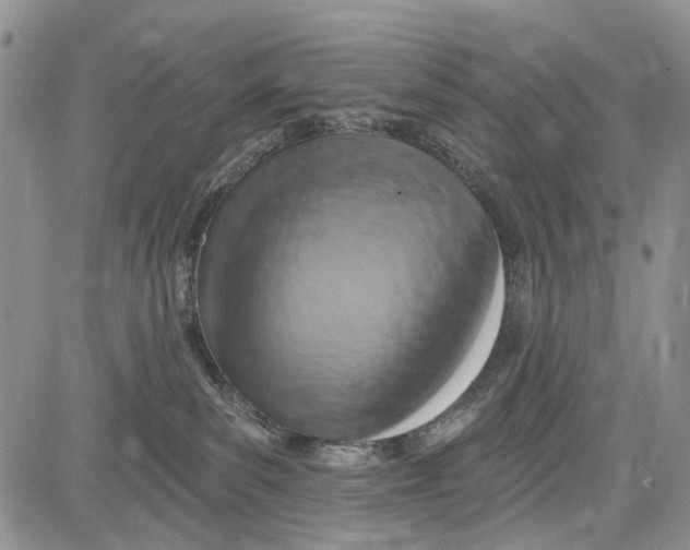 X0000081580139200702051248