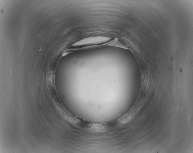 X0000081580141200702051248