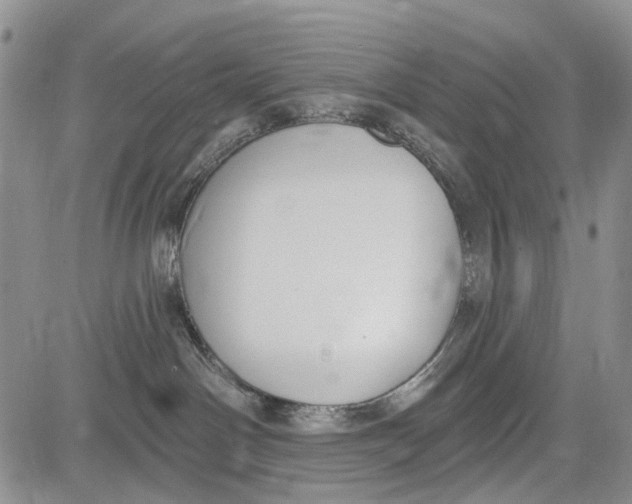 X0000081580142200702051248