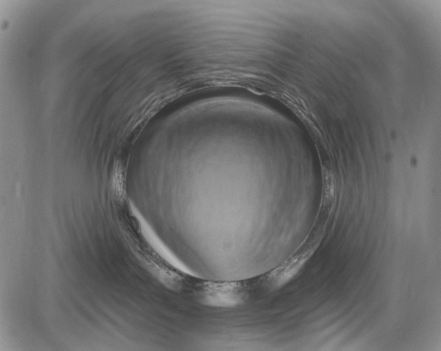 X0000081580143200702051248