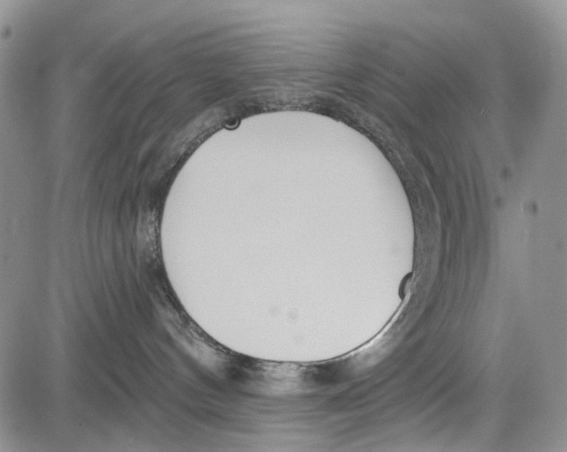 X0000081580144200702051248