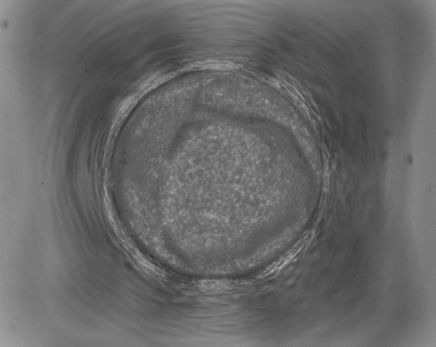 X0000081580145200702051248