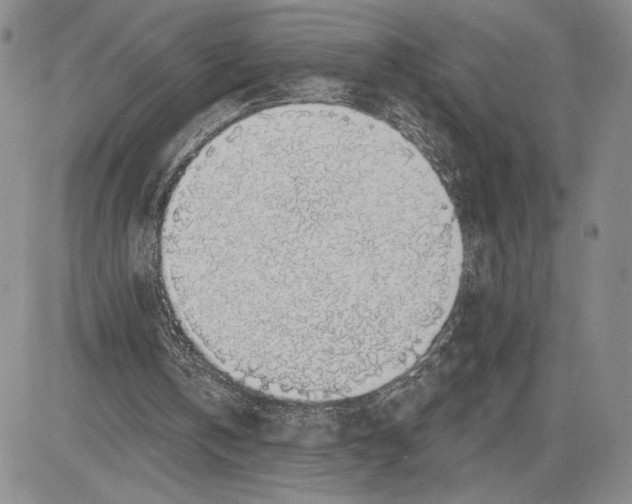 X0000081580146200702051248