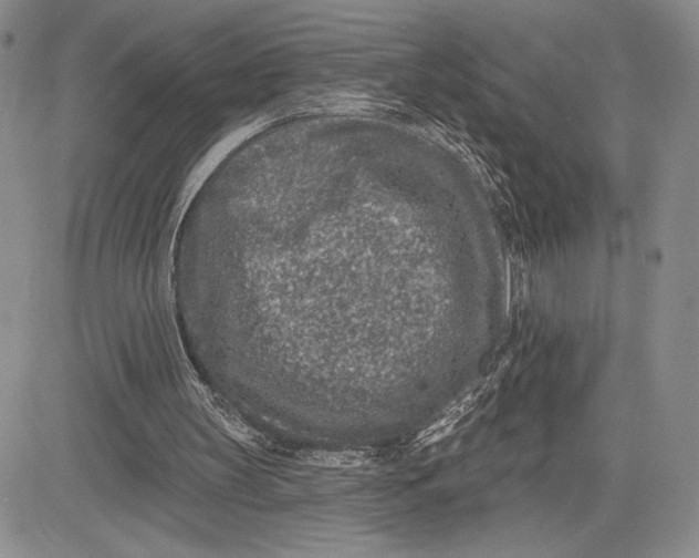 X0000081580147200702051248