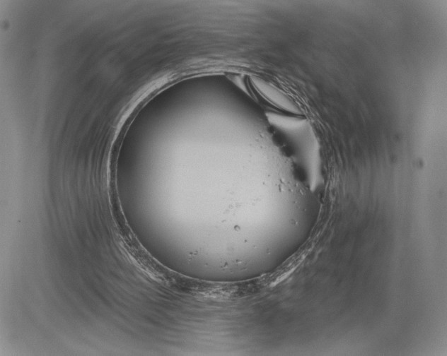 X0000081580148200702051248