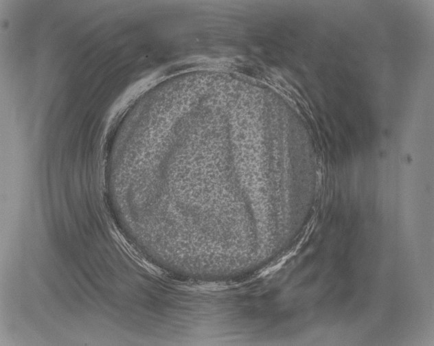 X0000081580149200702051248