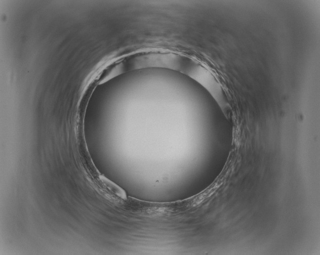 X0000081580152200702051248