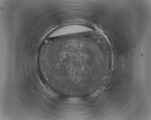 X0000081580154200702051248