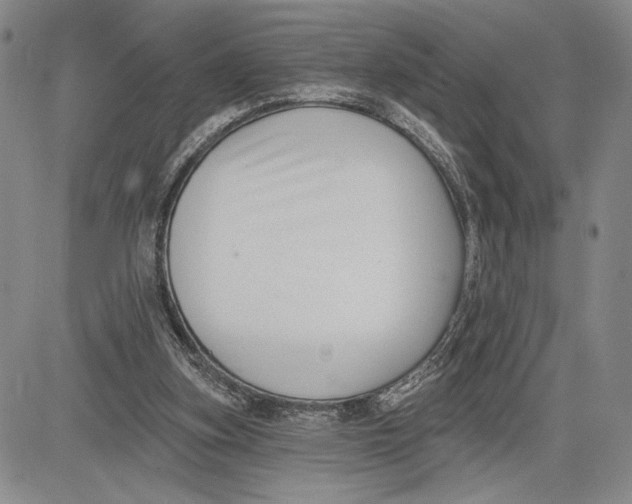 X0000081580155200702051248