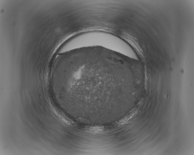 X0000081580156200702051248