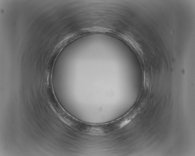 X0000081580157200702051248