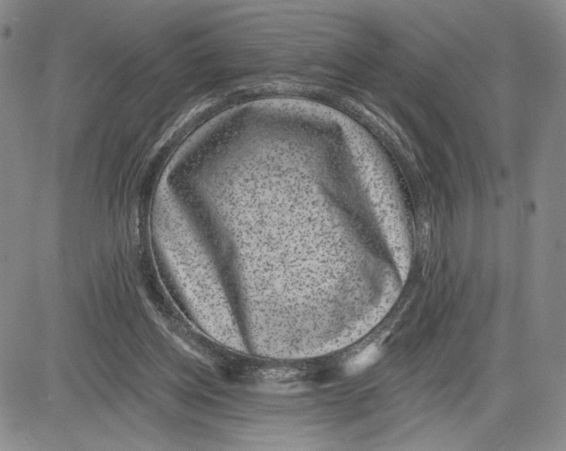 X0000081580158200702051248