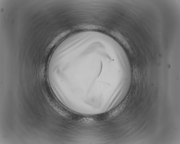 X0000081580159200702051248