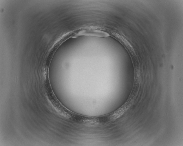 X0000081580160200702051248