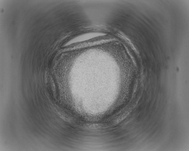 X0000081580161200702051248