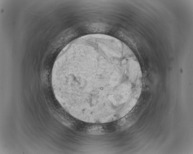 X0000081580162200702051248