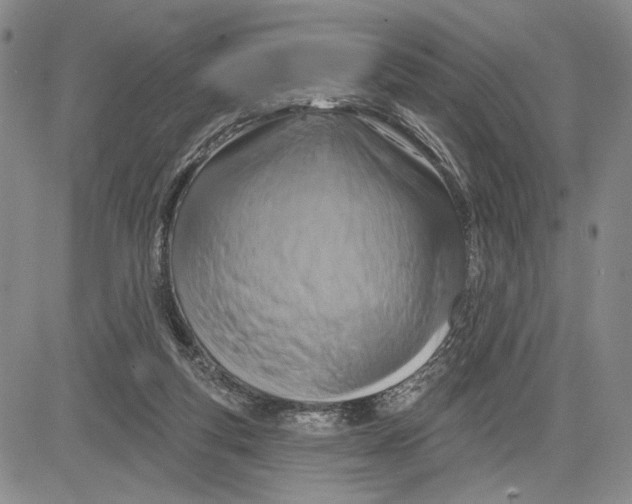 X0000081580163200702051248