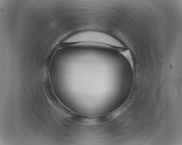 X0000081580164200702051248